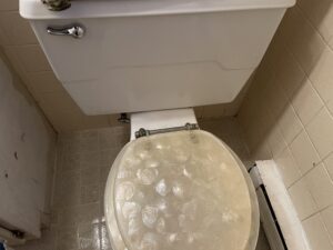 Detailed toilet cleaning as part of our professional bathroom deep cleaning service. Every surface is carefully cleaned to ensure proper sanitation.