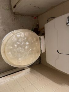 Detailed toilet cleaning