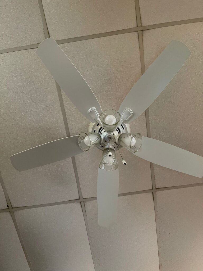 Ceiling fan after dust removal