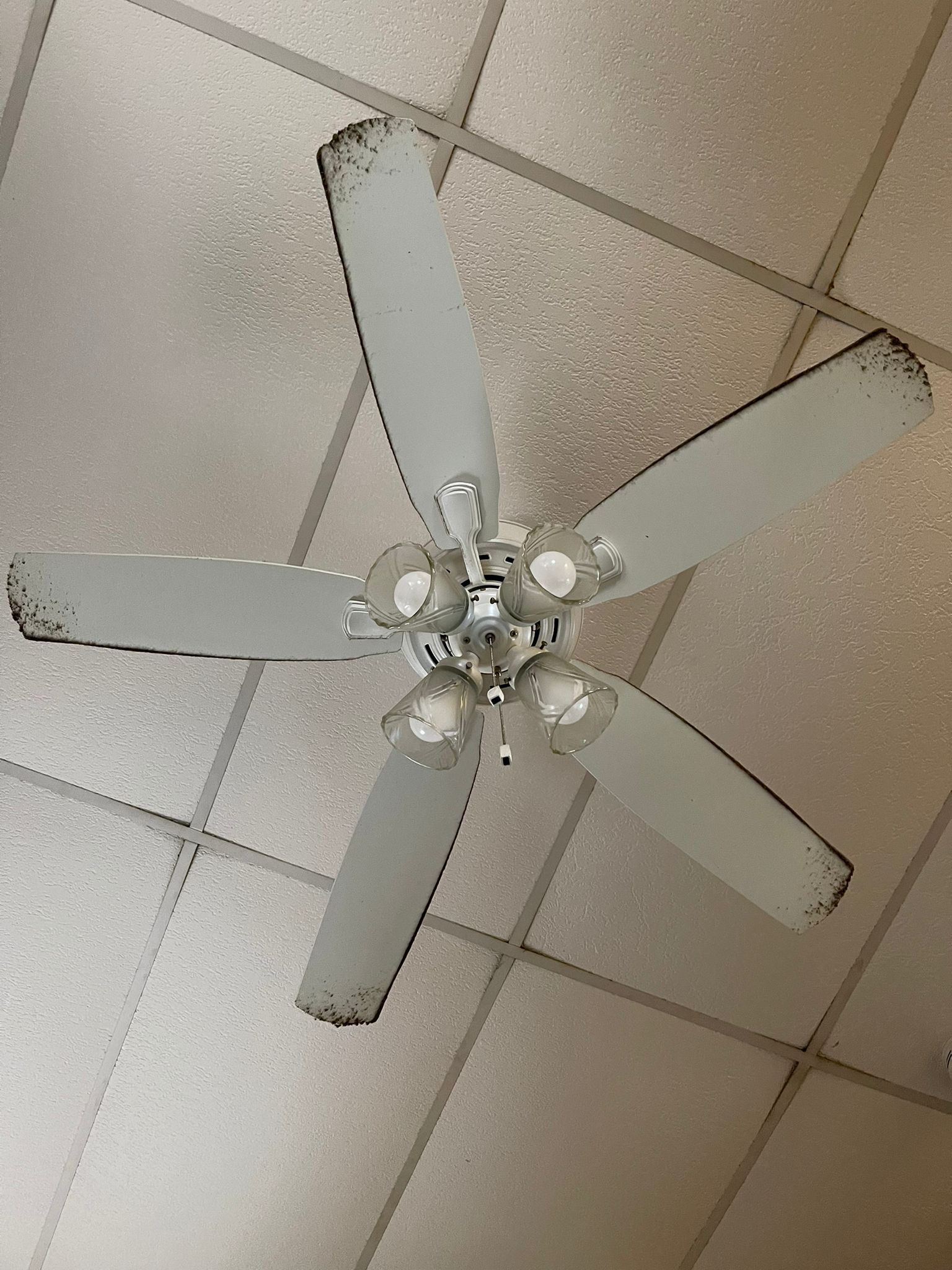 Ceiling fan before dust removal — house cleaning in Whitman MA