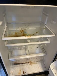 Fridge Interior Cleaning in Abington MA